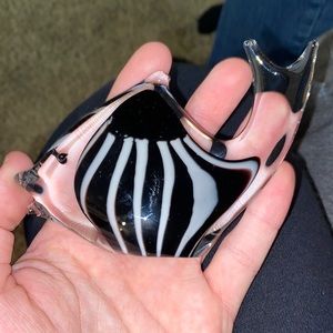 Glass fish